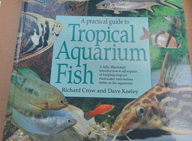Tropical Aquarium Fish
