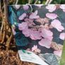 Daredevil hydrangea Image 2