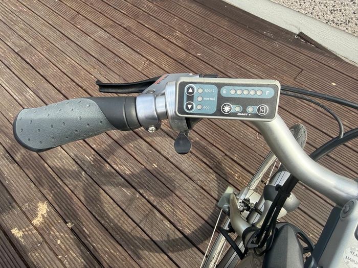 giant electric bike