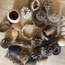 Potpourri Image 2