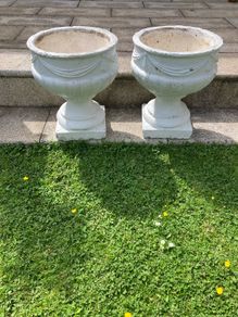 Planters