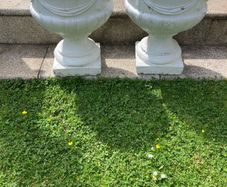 Planters