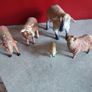 Lot Of 5 Cheaps Miniature Small Hard Plastic Farm Animals Toys. Image 6