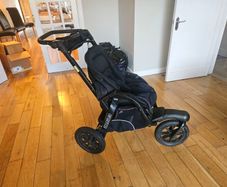 Chicco Active