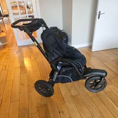 Chicco Active