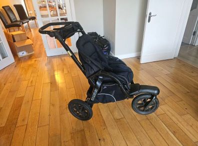 Chicco Active
