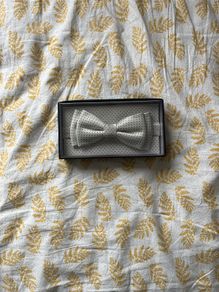 Bow Tie and Napkin set