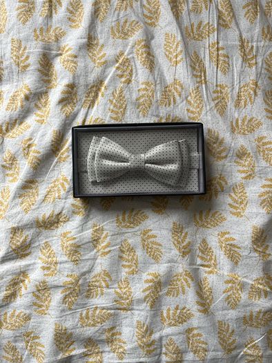 Bow Tie and Napkin set