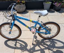 Raleigh Pop 18" Bike