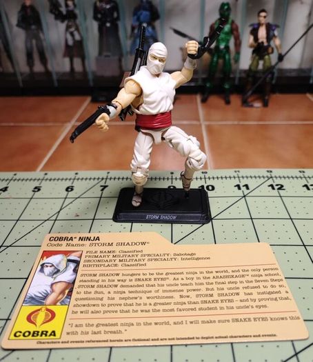 GI JOE Resolute Storm Shadow