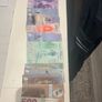 Arctic Territories banknotes Set 14 PCS, 1-500 Polar, Animal Polymer Banknote ( 2010 - 2017 ) Notes , UNC Codition, fantesy Note Image 4