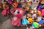 Beanie Boo Teddy Collection