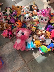 Beanie Boo Teddy Collection