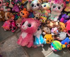 Beanie Boo Teddy Collection