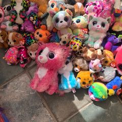 Beanie Boo Teddy Collection