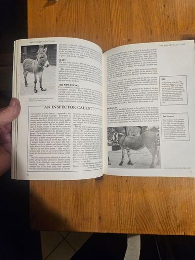 A Passion For Donkeys. By Dr Elizabeth D. Sevendsen. Large Volume Paperback In Good Condition.  See Photos For Same.