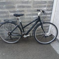 Adults Bike