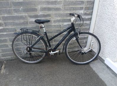 Adults Bike
