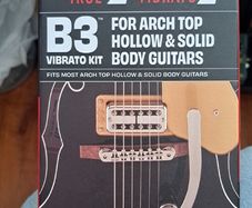 American Bigsby B3 with Towner Down Tension Bar