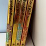 David Walliams 4 Books Image 2