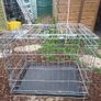 dog crate Image 2