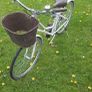 Dawes Womens bike Image 2