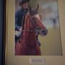 horse racing memorabilia Image 5