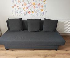 Ikea Asarum Sofa Bed