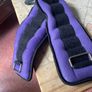 Stepforwarder ankle weights x2 Image 3