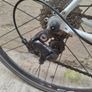 Road Bike - Genesis Equilibrium Image 2