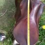 17" Stubben GP Saddle Image 7