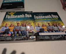 fuinneamh nua leaving cert
