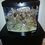 Boyu TL-450 Marine Nano Red Sea Max 130D Cabinet L/Rock Tank Aquarium Image 4
