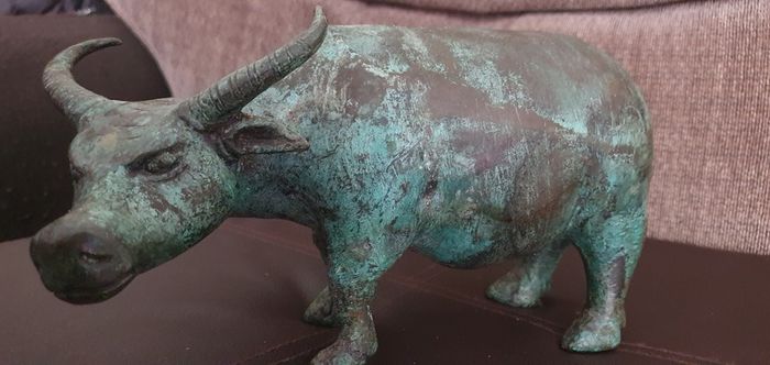 Cooper  cow (bull)