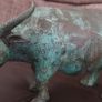 Cooper  cow (bull) Image 3