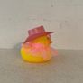 Duck Image 2