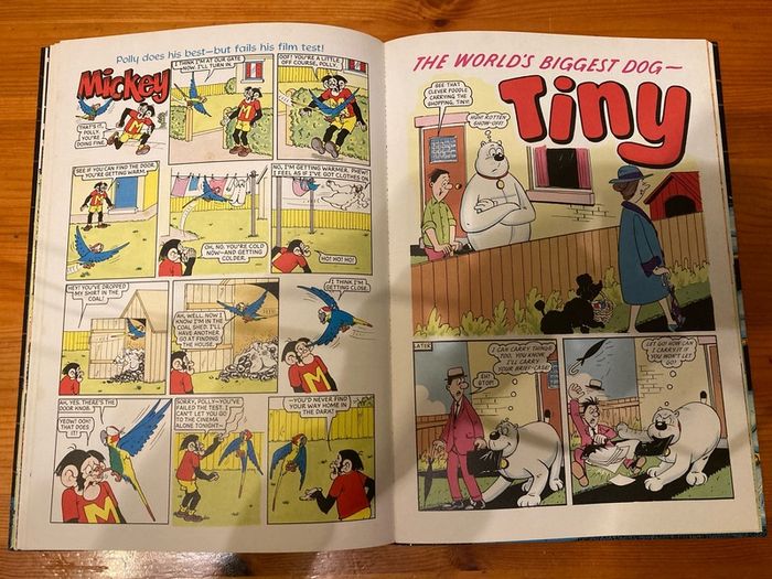 Comic: 'The Topper' annual 1974