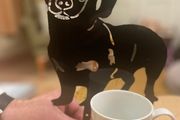 Dachshund/Sausage Dog Gift Package