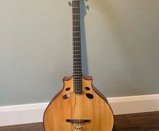 Irish Bouzouki