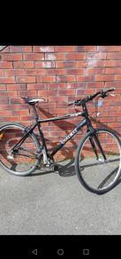 trek hybrid fx