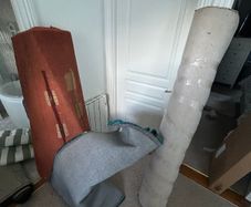 Free carpet and rugs
