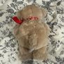 Love Teddy Image 3
