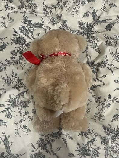 Love Teddy