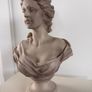 Bust Image 2