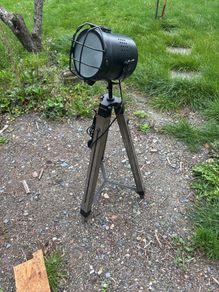 lamp