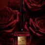 How Does It Smell Something Absolutely Addictive   Drenched In Cherry & Caramel Luxury  Grab It Before Its Gone Image 4