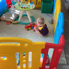 Dwinguler Castle Playpen Rainbow