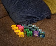 LEGO Legoland Windsor souvenir Duplo bricks bulk