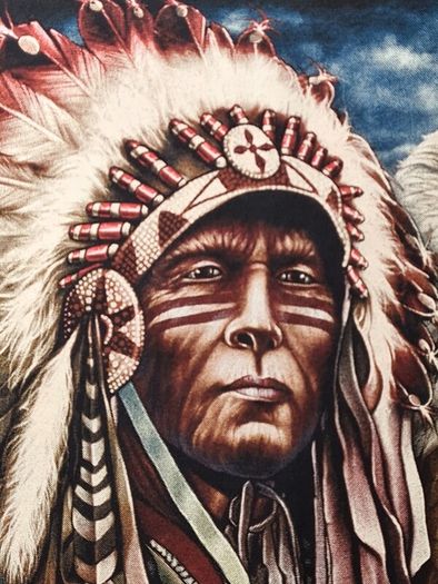 Vintage Wild T Shirt American Indian Eagle Horse Print Front And Back Size Medium