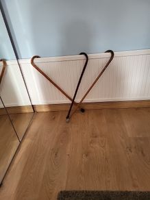 Walking sticks